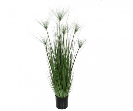 PAPYRUS /POT VERT-H150XD19