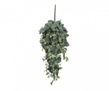 CHUTE PILEA VERT L70XB30XH20CM