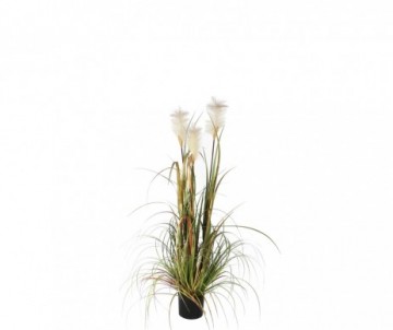 HERBE PANACHE VERT H120XD45CM
