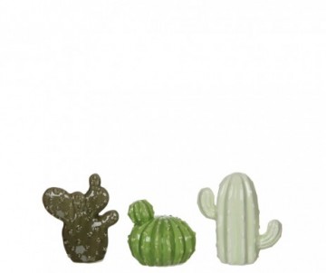 CACTUS VERT 3 ASS - L8