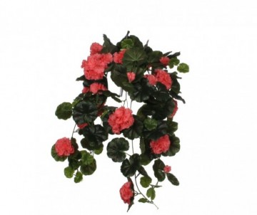 GERANIUM SUSP  SAUMON - L60CM