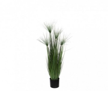 PAPYRUS /POT VERT H102XD15CM