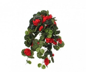 GERANIUM SUSPENDRE RGE L60CM