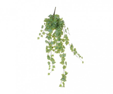 TIGE DE RAISIN SUSP  VERT