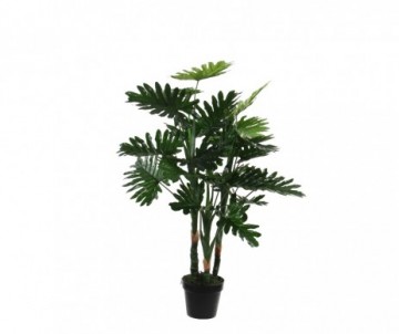 PHILODENDRON - H100XD70CM