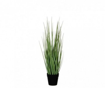HERBE D'OIGNON  H53XD10CM