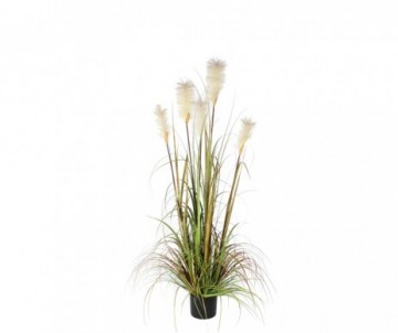 HERBE PANACHE VERT H150CM