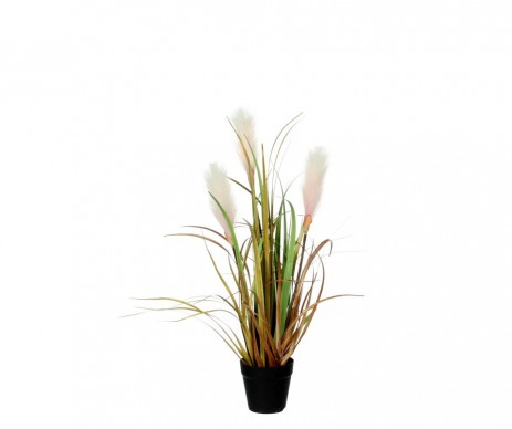 ROSEAU MARRON CL  - H53CM