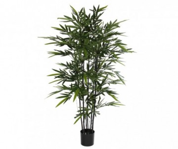 BAMBOU NOIR - H150XD75CM