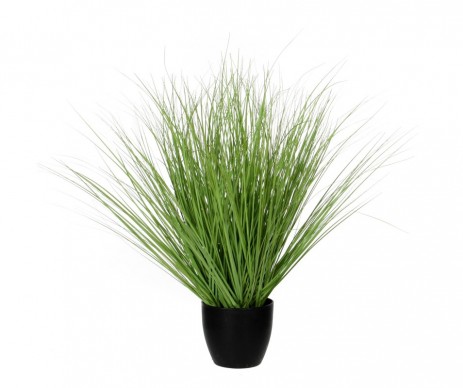 GRAS VERT /POT H68CM