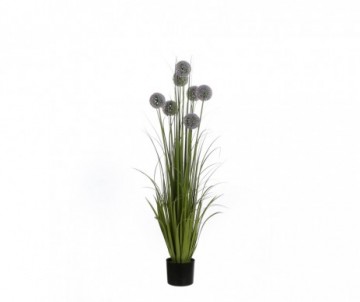 ALLIUM POT PLAST VIOLET H122CM