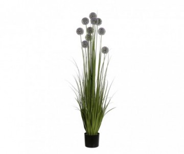 ALLIUM POT PLAST VIOLET H152CM