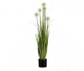 ALLIUM POT PLASTIQUE BLC H90CM