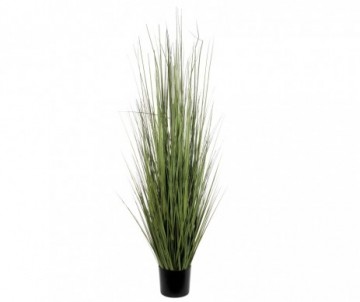 GRAS EN POT VERT H153XD50CM