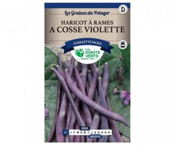HARICOT A RAMES A COSSES VIOLETTES 250GR