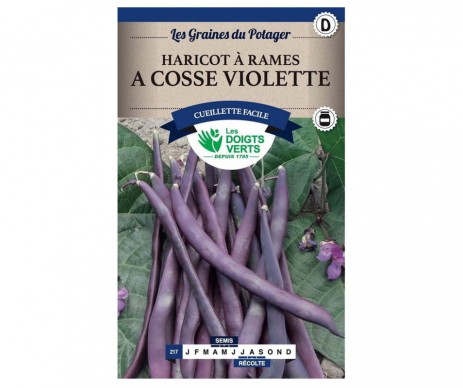 HARICOT A RAMES A COSSES VIOLETTES 250GR
