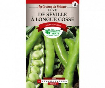 FEVES DE SEVILLE LONGUES COSSES 250GR