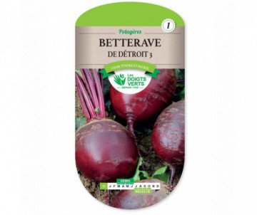 BETTERAVE DE DETROIT 3 LES DOIGTS VERTS
