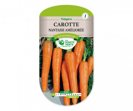 CAROTTE NANTAISE AMELIOREE 2