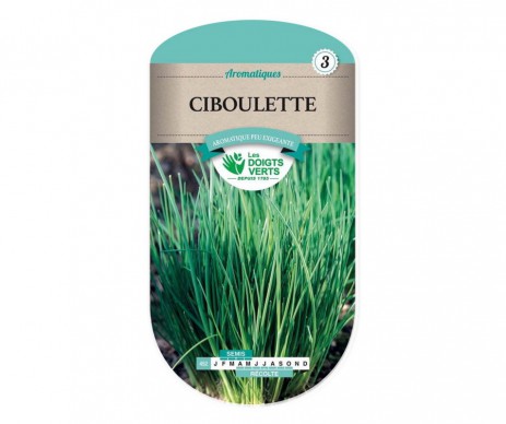 CIBOULETTE