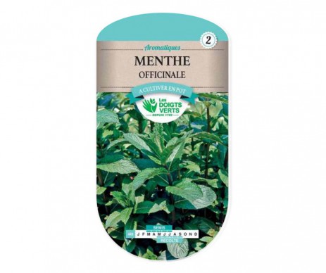 MENTHE OFFICINALE