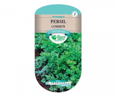 PERSIL COMMUN 2