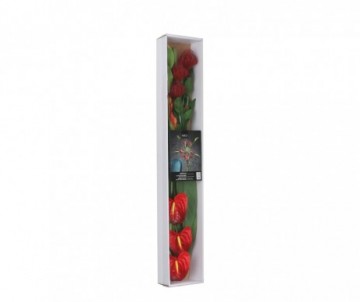 FLEURS TROPICAL MIX 10 PCES