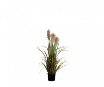 FOXTAIL POT PECHE H80XD45CM