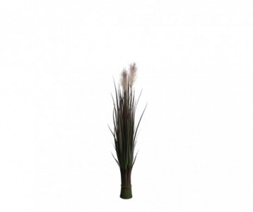 FOXTAIL VIOLET H90XD20CM
