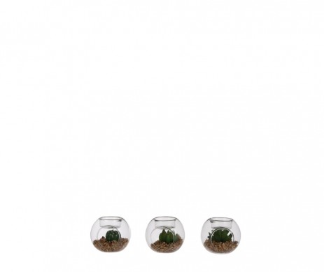 SUCCULENTE BOUGEOIR VERT D8CM