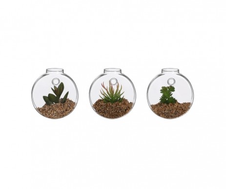 SUCCULENTE PENDEUR MURAL H10CM