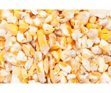 GRAINS COMPLETS POUR POULE PONDEUSE 25KG