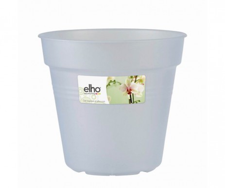POT GREEN BASICS ORCH DIAMETRE 15CM TRANS