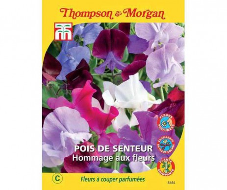 POIS DE SENTEUR HOMMAGE AUX FLEURS