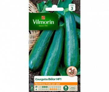 COURGETTE BELOR HYBRIDE F1 VILMORIN