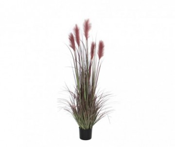 FOXTAIL POT BORDEAUX H150D70CM