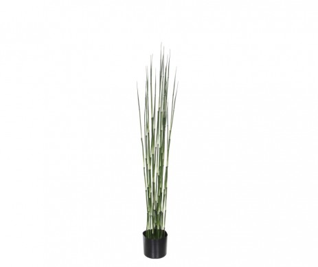 BAMBOU /POT VERT -H120XD15CM