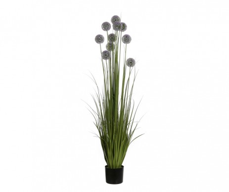 ALLIUM POT PLAST VIOLET H152CM