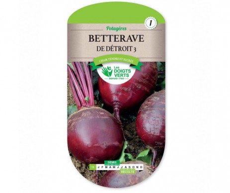 BETTERAVE DE DETROIT 3 LES DOIGTS VERTS