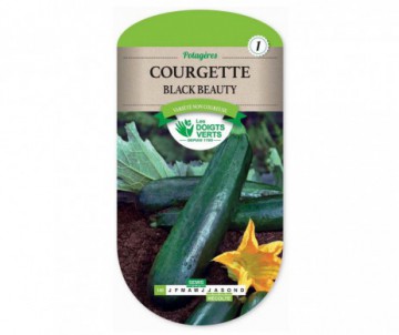 COURGETTE BLACK BEAUTY LES DOIGTS VERTS