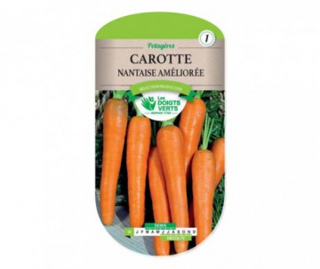 CAROTTE NANTAISE EN RUBAN