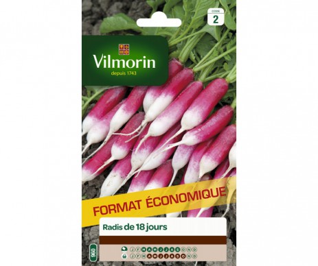 RADIS DE 18 JOURS GRAND MODELE ECONOMIQUE VILMORIN