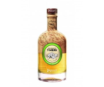 PUNCH RHUM CITRON GINGEMBRE...