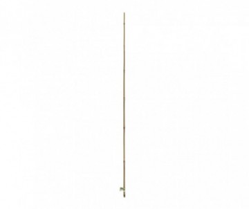 TUTEUR BAMBOU NATUREL H.2.10M