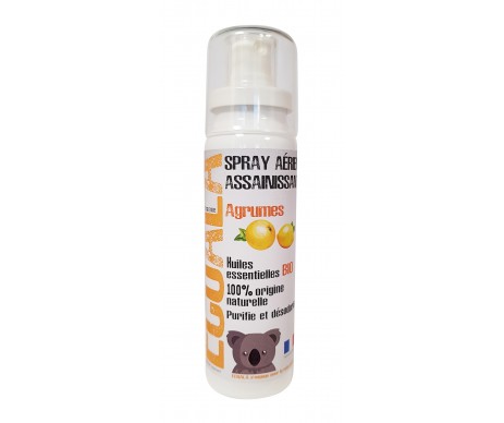 SPRAY ASSAINISSANT BIO 100ML