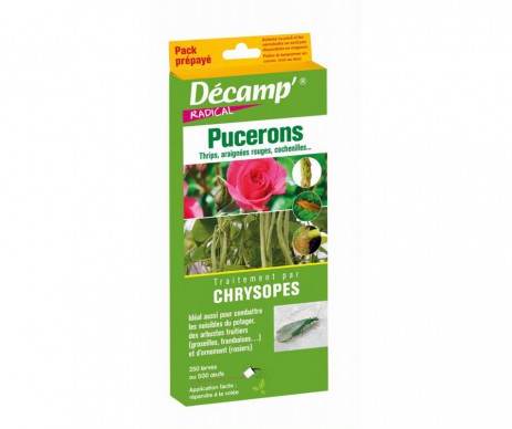 CHRYSOPE CONTRE PUCERONS