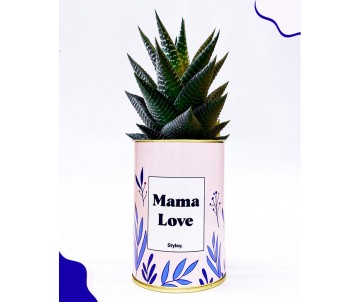 PLANTE VERTE AVEC MESSAGE