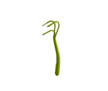 GRIFFE 3 DENTS METAL VERT ANIS