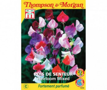 POIS DE SENTEUR HEIRLOOM EN MELANGE