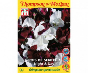 POIS DE SENTEUR NIGHT &AMP; DAY